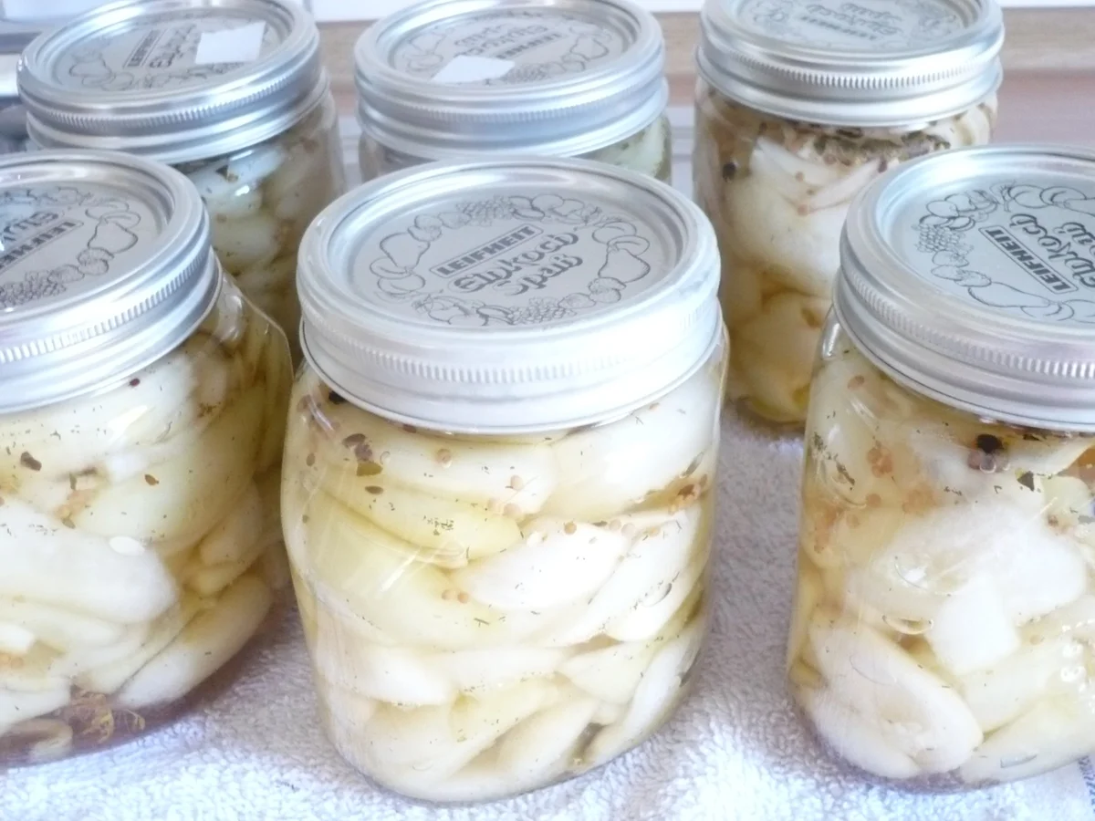 Senfgurken - Rezept - Bild Nr. 17507