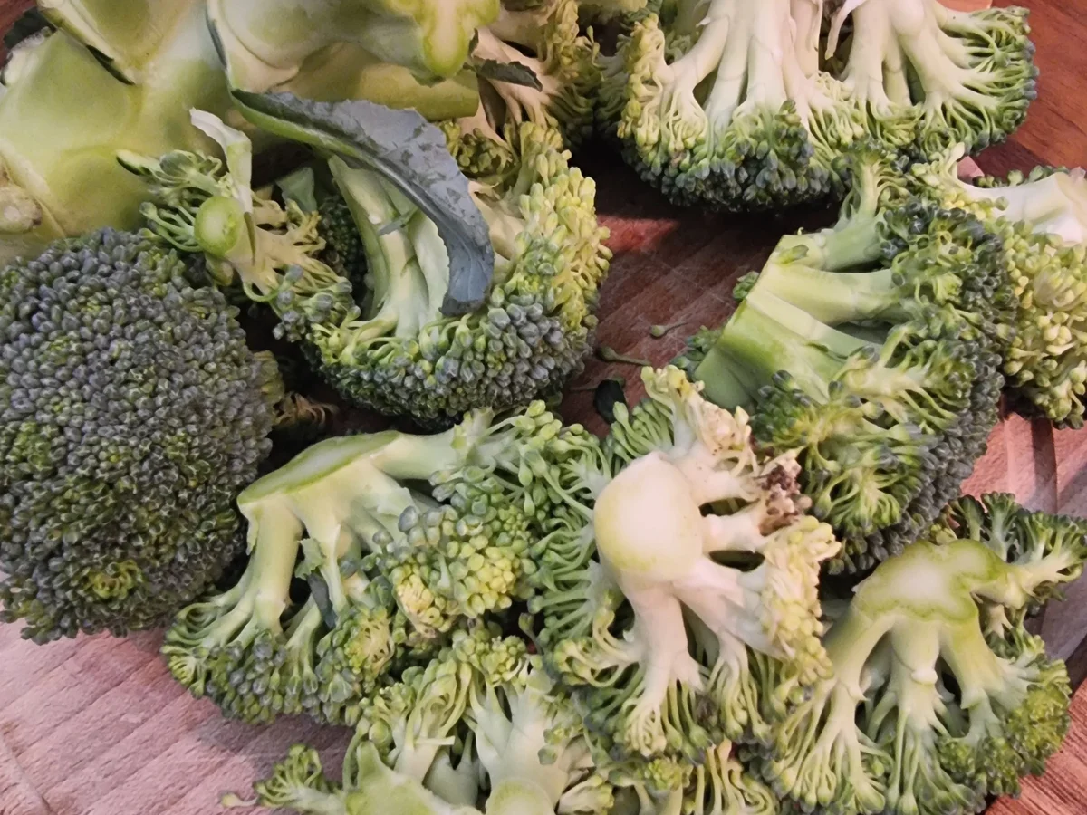 Rezept: Brokkolicremesuppe mit Frischkäsenocken Bild Nr. 17506 Brokkolicremesuppe mit Frischkäsenocken - Rezept - Bild Nr. 17506