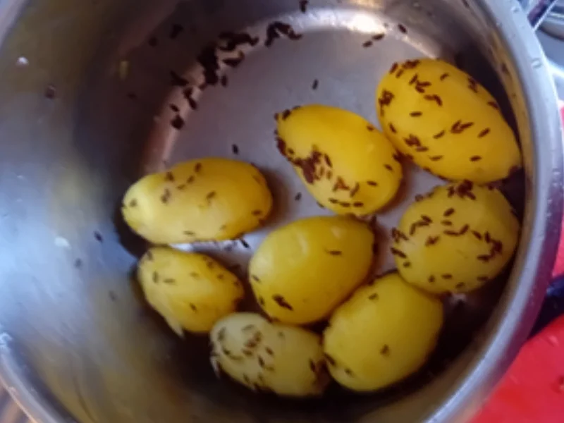 Steinpilz-Schnitzel mit Butter-Buschbohnen und Kümmel-Drillingen - Rezept - Bild Nr. 8
