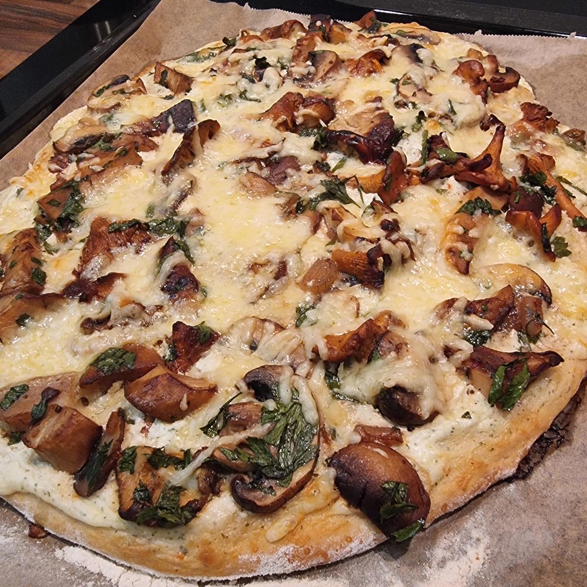 Jäger-Pizza - Rezept - Bild Nr. 17519