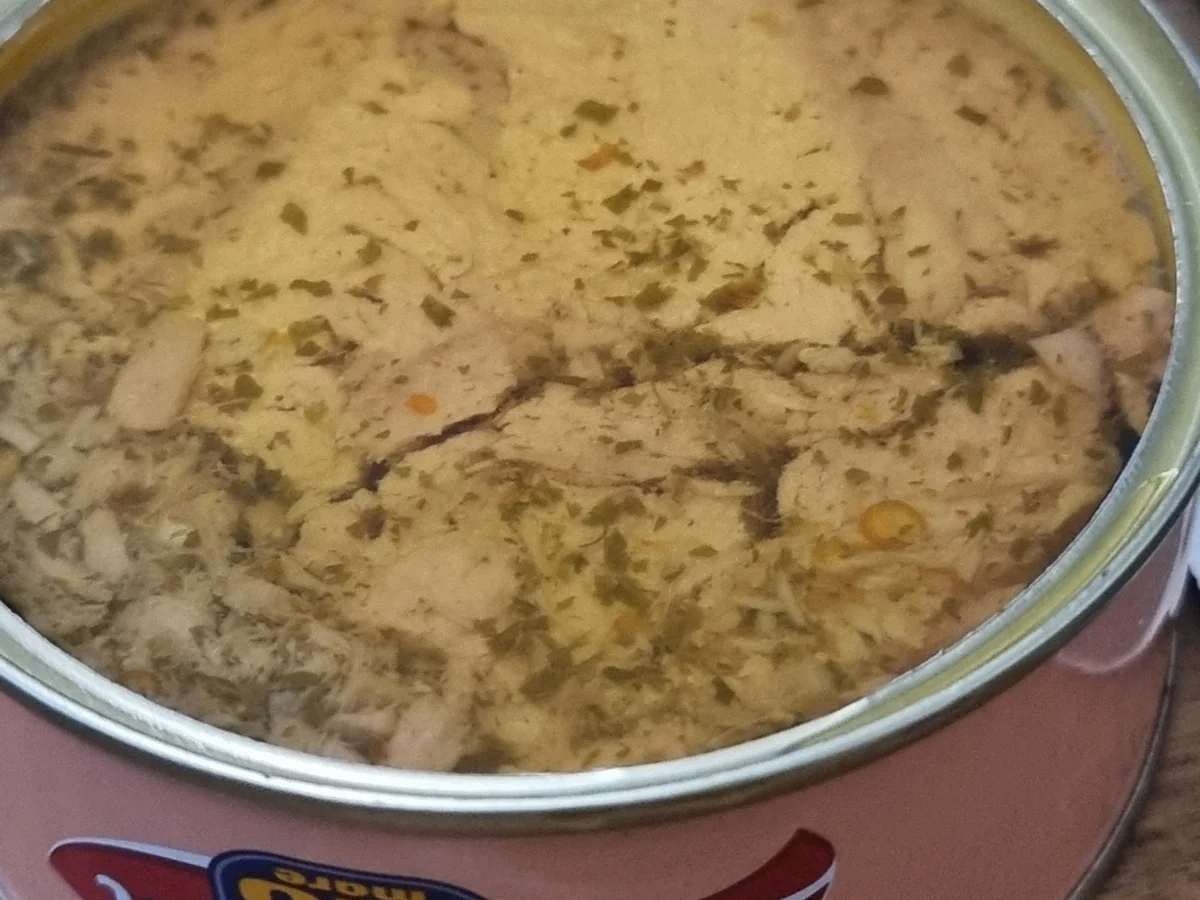 Rezept: Thunfisch-Pasta Bild Nr. 17511 Thunfisch-Pasta - Rezept - Bild Nr. 17511