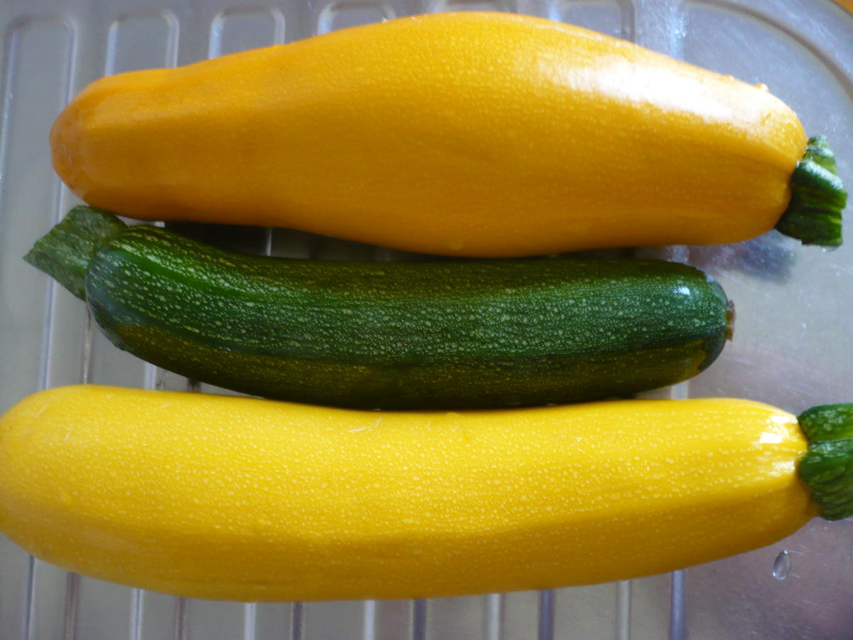 Zucchini -  Auflauf - Rezept - Bild Nr. 17522