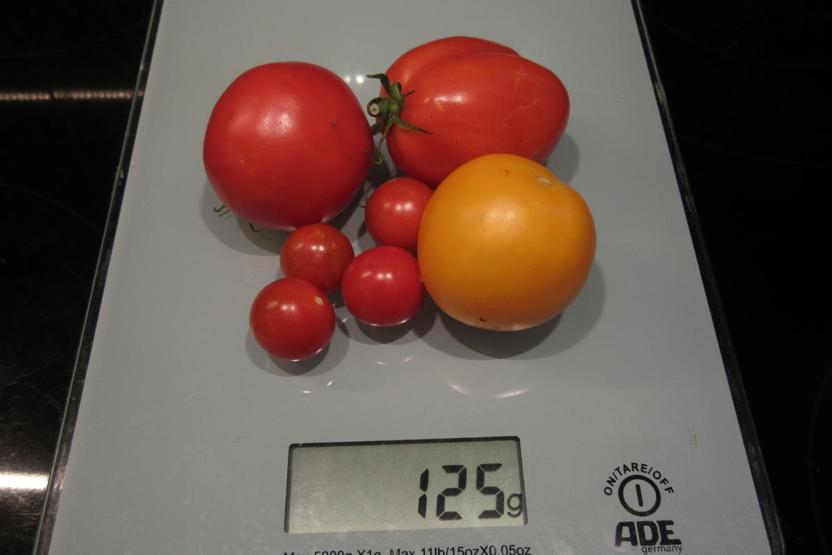 Eier: Mediterrane Eier-Gemüse-Pfanne - Rezept - Bild Nr. 17508