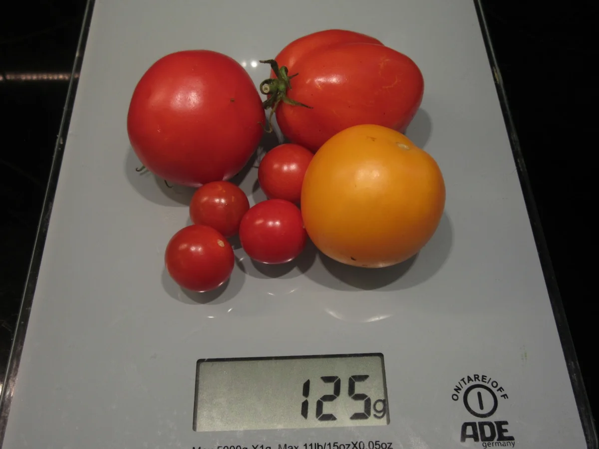 Eier: Mediterrane Eier-Gemüse-Pfanne - Rezept - Bild Nr. 17508