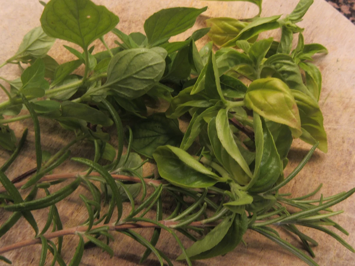 Eier: Mediterrane Eier-Gemüse-Pfanne - Rezept - Bild Nr. 17513