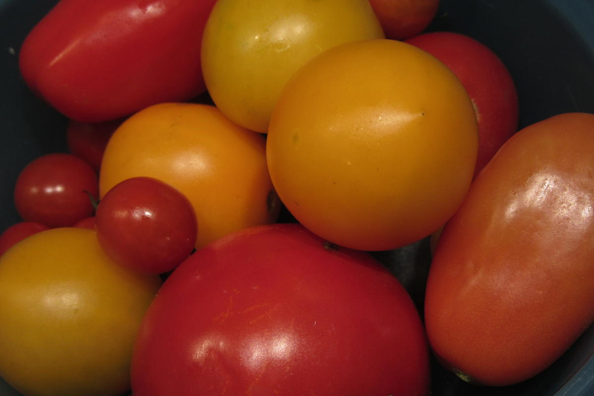 Rezept: Pikantes Backen: Tomaten-Fladen Bild Nr. 17516 Pikantes Backen: Tomaten-Fladen - Rezept - Bild Nr. 17516