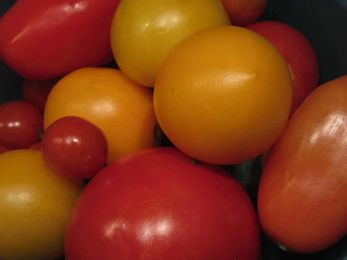 Pikantes Backen: Tomaten-Fladen - Rezept - Bild Nr. 17516