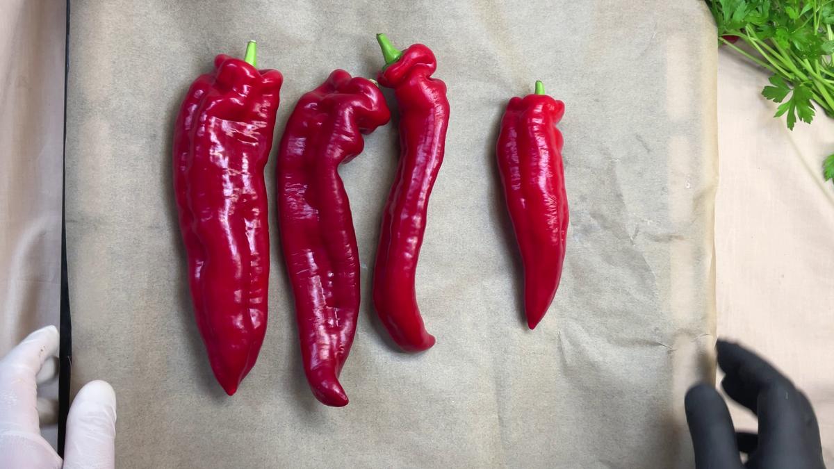Gefüllte Paprika mal anders! Ohne Fleisch - Rezept - Bild Nr. 17525