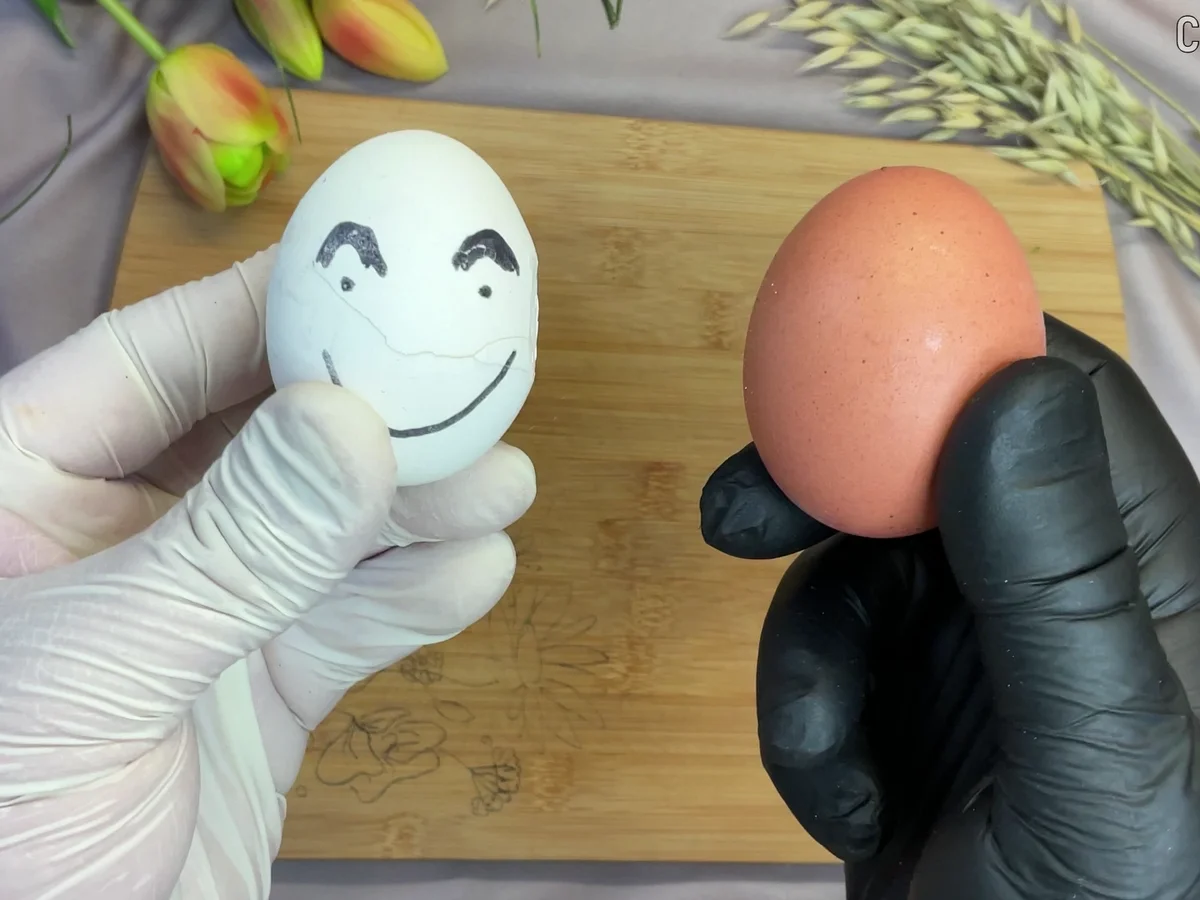 Thunfisch Ei Tortillas – ein schneller und leckerer Snack - Rezept - Bild Nr. 17516