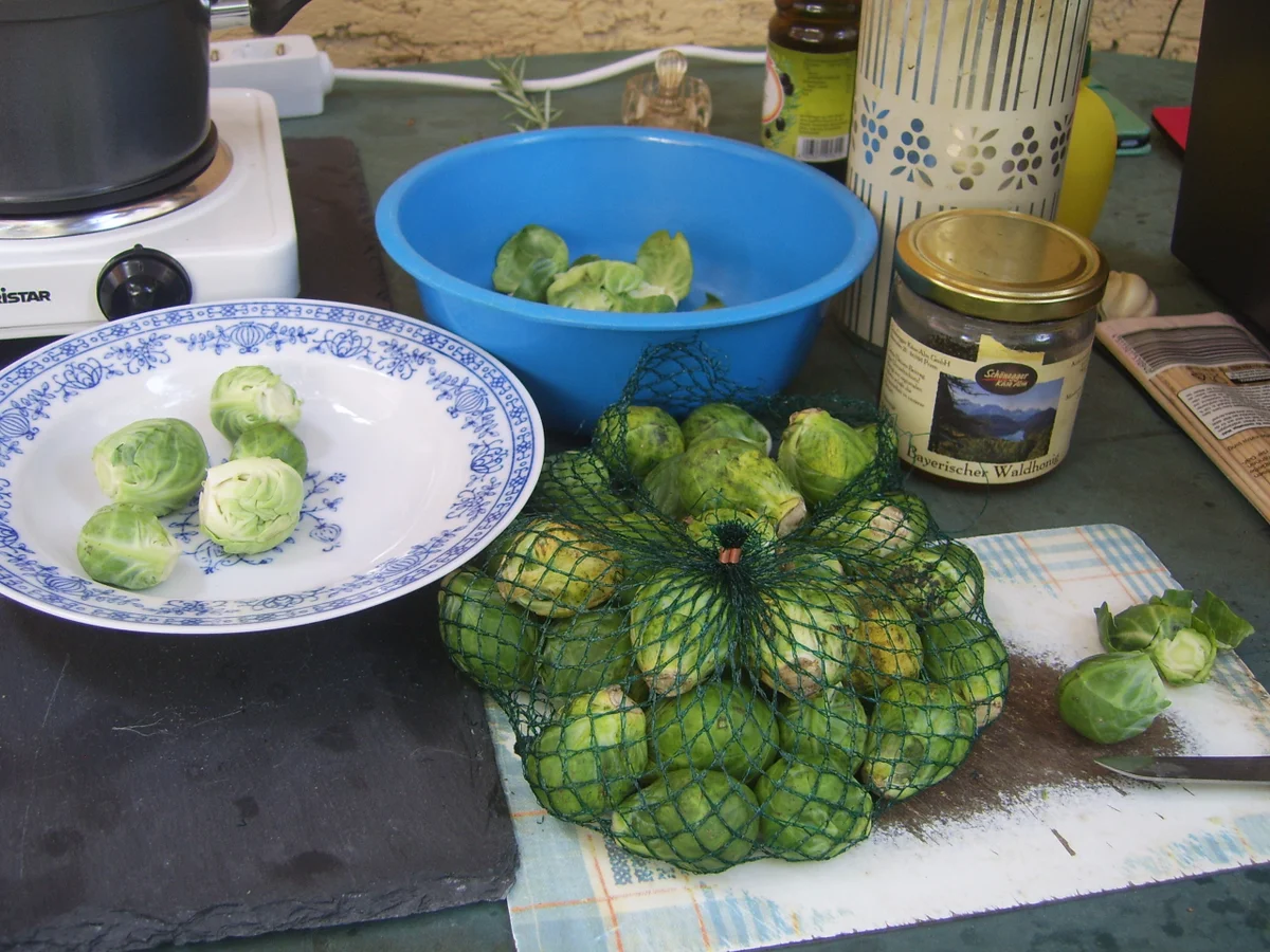 Rosenkohl-Spieße - Rezept - Bild Nr. 17516