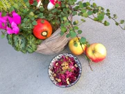 Rote Bete Salat mit Apfel - Rezept - Bild Nr. 17752