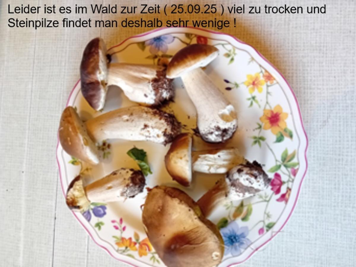 Schweinesteak mit frischen Steinpilzen - Rezept - Bild Nr. 6