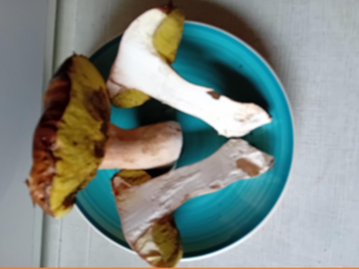 Rahmgeschnetzeltes mit Steinpilzen und Spätzle - Rezept - Bild Nr. 3