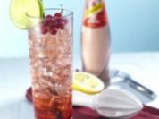 Arctica - Rezept