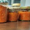 Tomatenpüree eingekocht - Rezept - Bild Nr. 17533