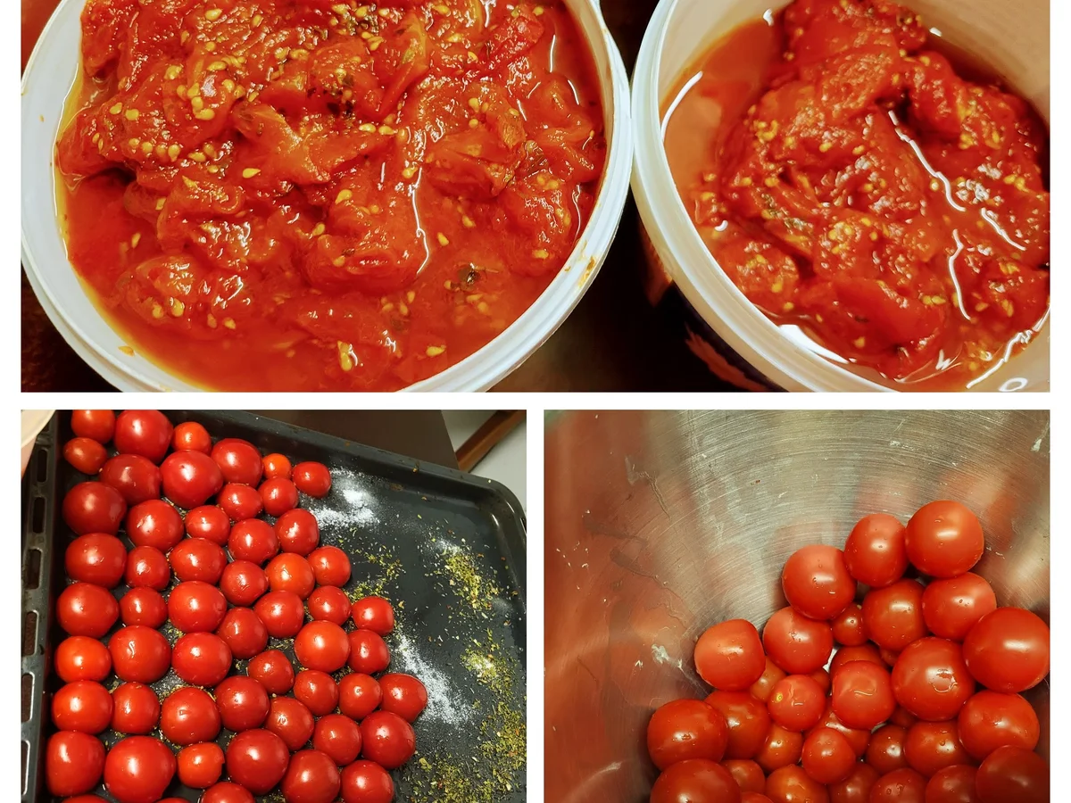 Tomatenpüree eingekocht - Rezept - Bild Nr. 17533