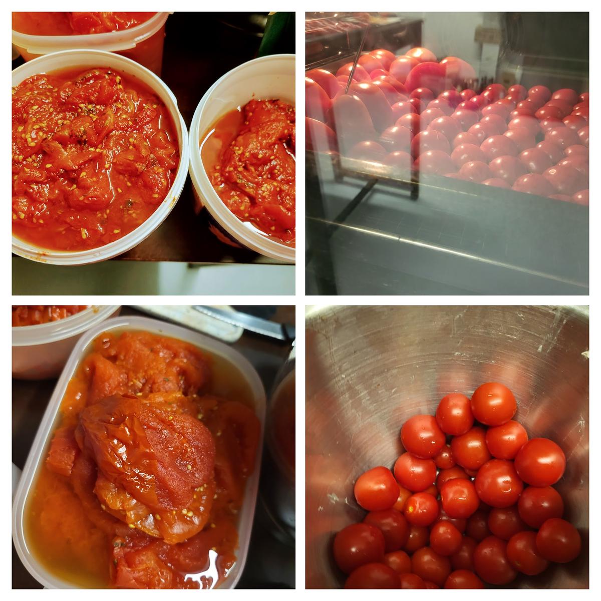 Tomatenpüree eingekocht - Rezept - Bild Nr. 5