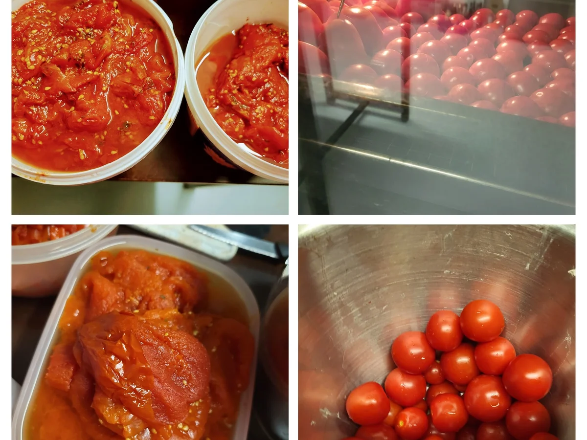 Tomatenpüree eingekocht - Rezept - Bild Nr. 5