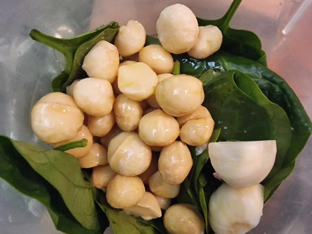 Spaghetti mit Spinat-Pesto - Rezept - Bild Nr. 17534