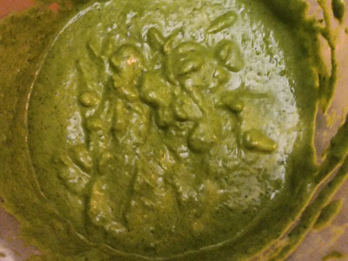 Spaghetti mit Spinat-Pesto - Rezept - Bild Nr. 17533