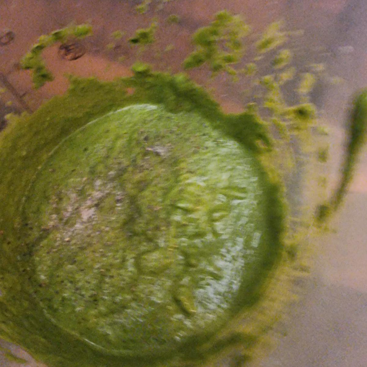Spaghetti mit Spinat-Pesto - Rezept - Bild Nr. 17533