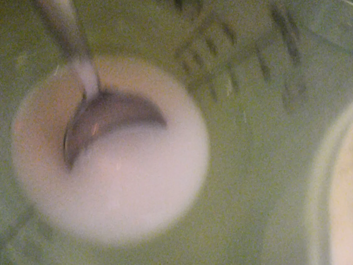 Spinat-Pizza mit Ei - Rezept - Bild Nr. 17542