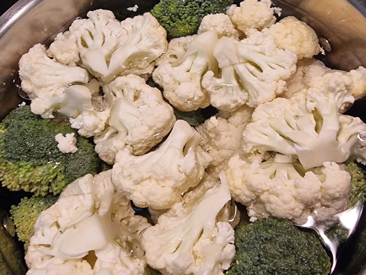 Rezept: Buntes Kohl-Gartin Bild Nr. 17549 Buntes Kohl-Gartin - Rezept - Bild Nr. 17549