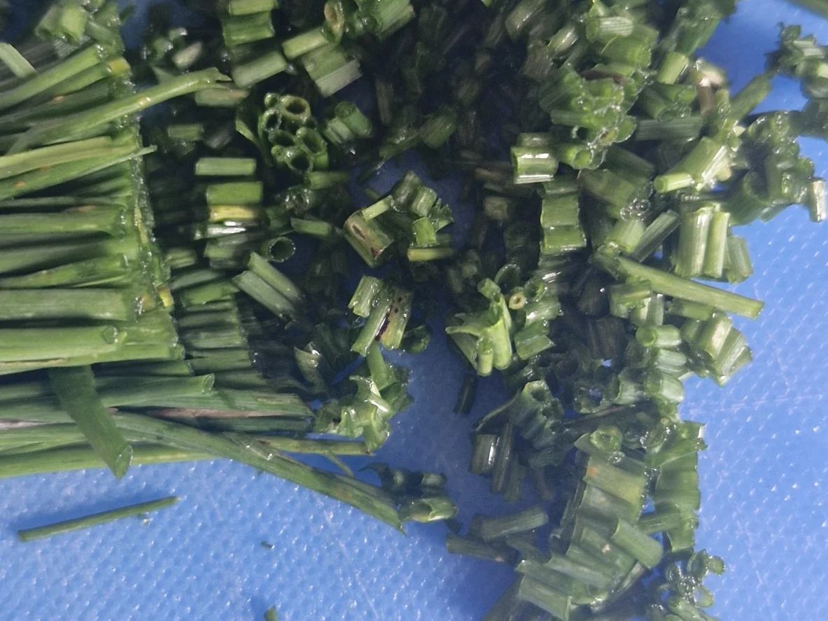 Lachs - Brotaufstrich - Rezept - Bild Nr. 17551