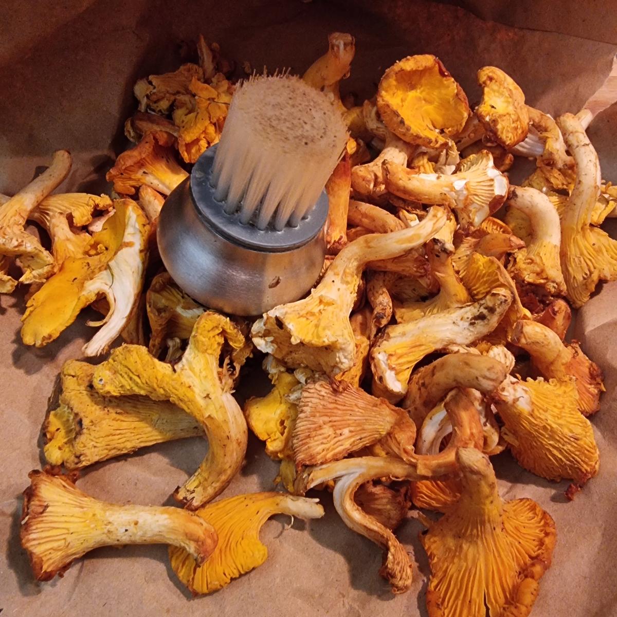 Rezept: Kartoffel-Pfifferling-Cremesuppe Bild Nr. 17571 Kartoffel-Pfifferling-Cremesuppe - Rezept - Bild Nr. 17571