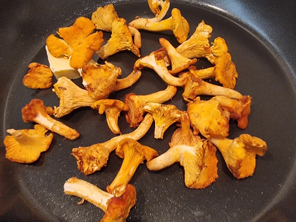 Kartoffel-Pfifferling-Cremesuppe - Rezept - Bild Nr. 17577