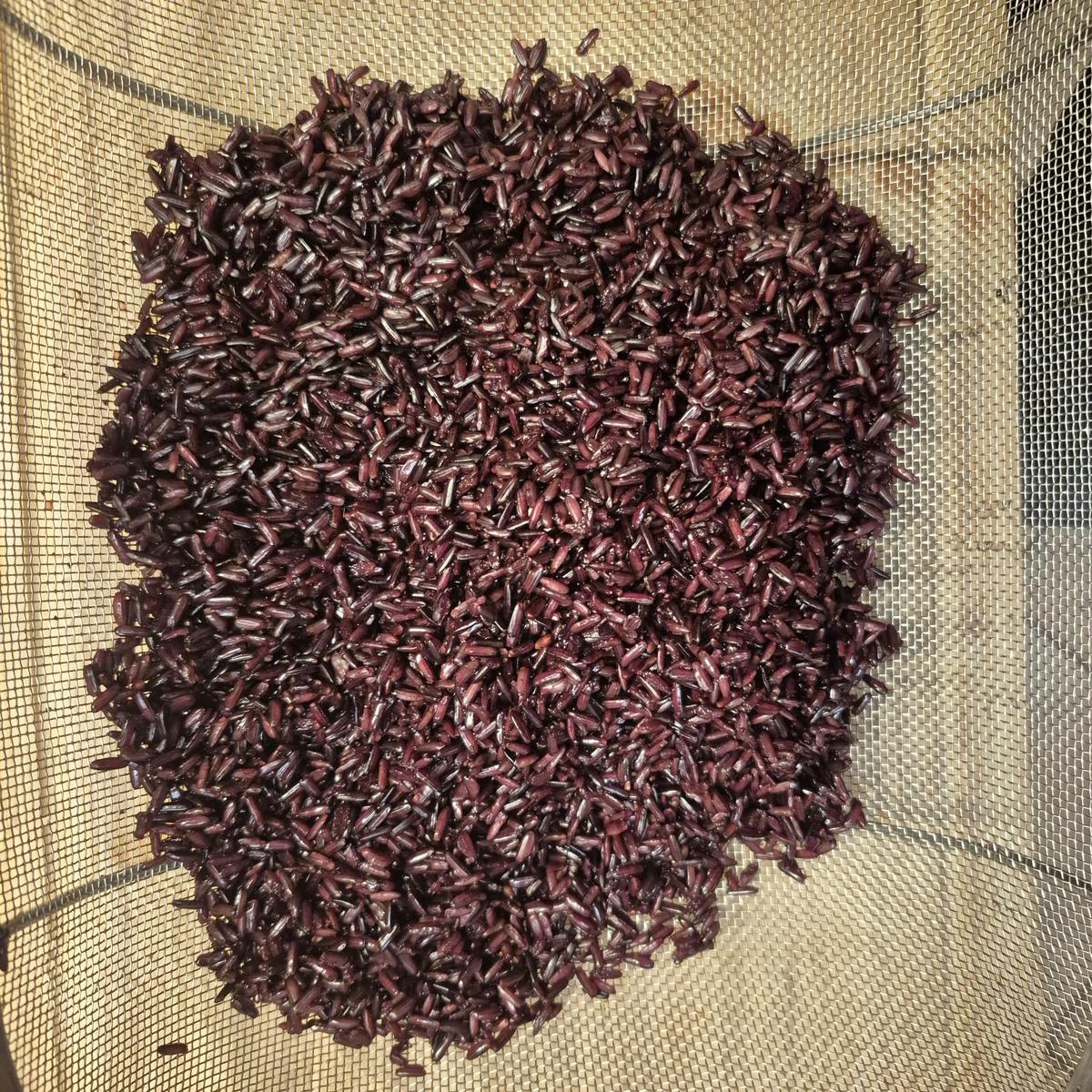 Rezept: Schwarzer Zauberstrudel mit leichtem Coleslaw Bild Nr. 17577 Schwarzer Zauberstrudel mit leichtem Coleslaw - Rezept - Bild Nr. 17577