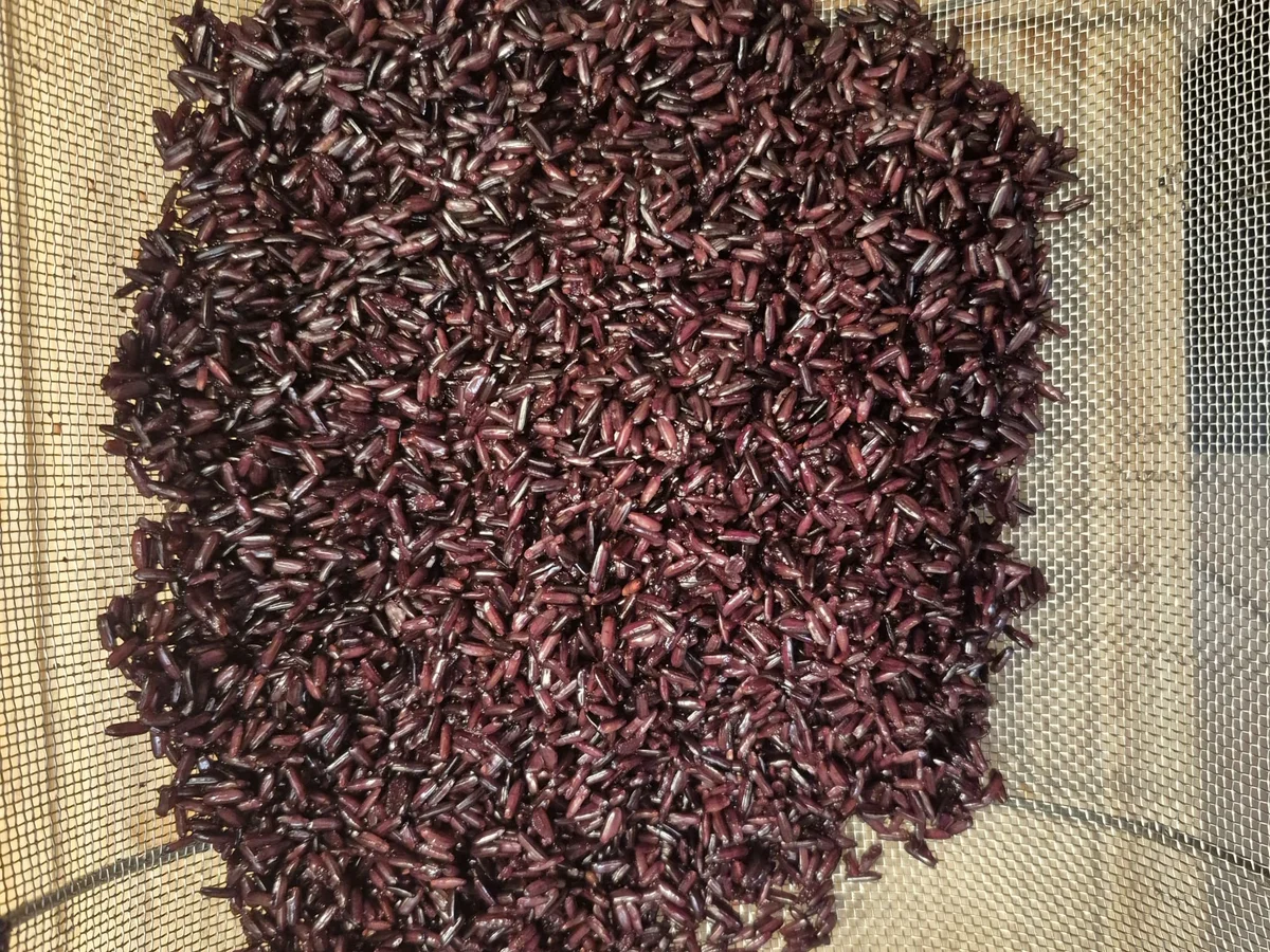 Schwarzer Zauberstrudel mit leichtem Coleslaw - Rezept - Bild Nr. 17577