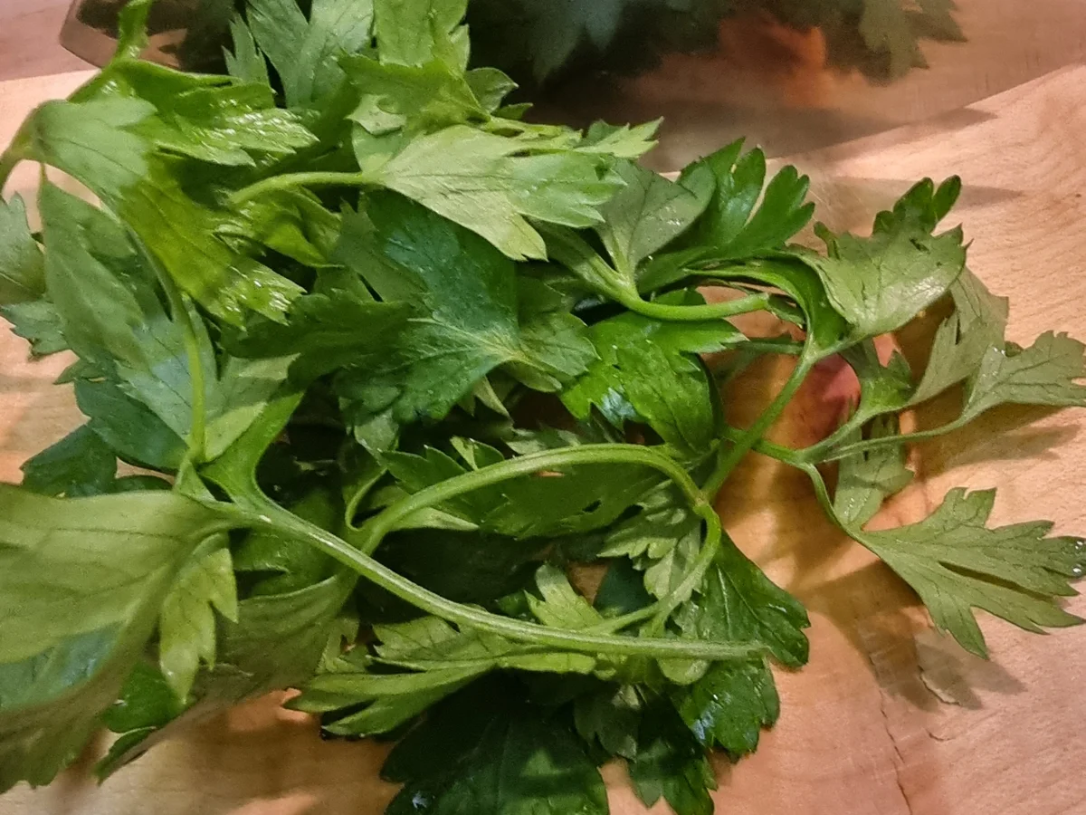 Spaghetti mit Hackbällchen in Tomatensauce - Rezept - Bild Nr. 17579
