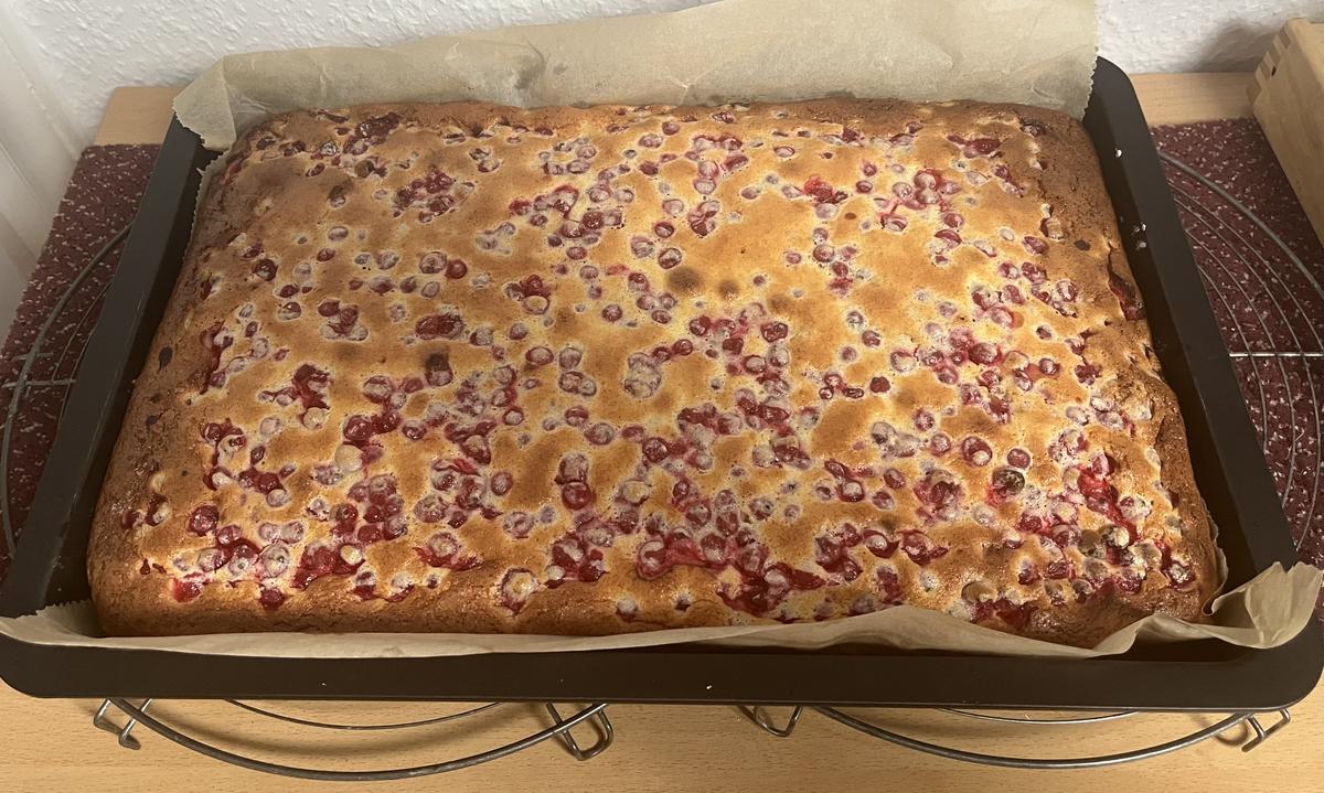 Rezept: Johannisbeer-Schmandkuchen Bild Nr. 17611 Johannisbeer-Schmandkuchen - Rezept - Bild Nr. 17611