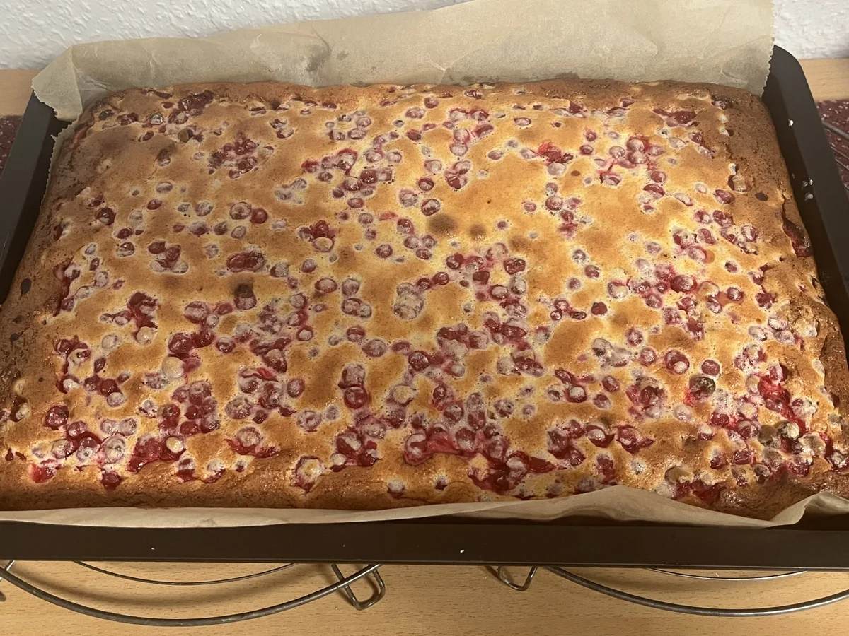 Johannisbeer-Schmandkuchen - Rezept - Bild Nr. 17611