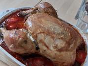 Hähnchen im Tomatenbett - Rezept - Bild Nr. 17575