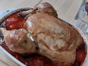 Hähnchen im Tomatenbett - Rezept - Bild Nr. 17575