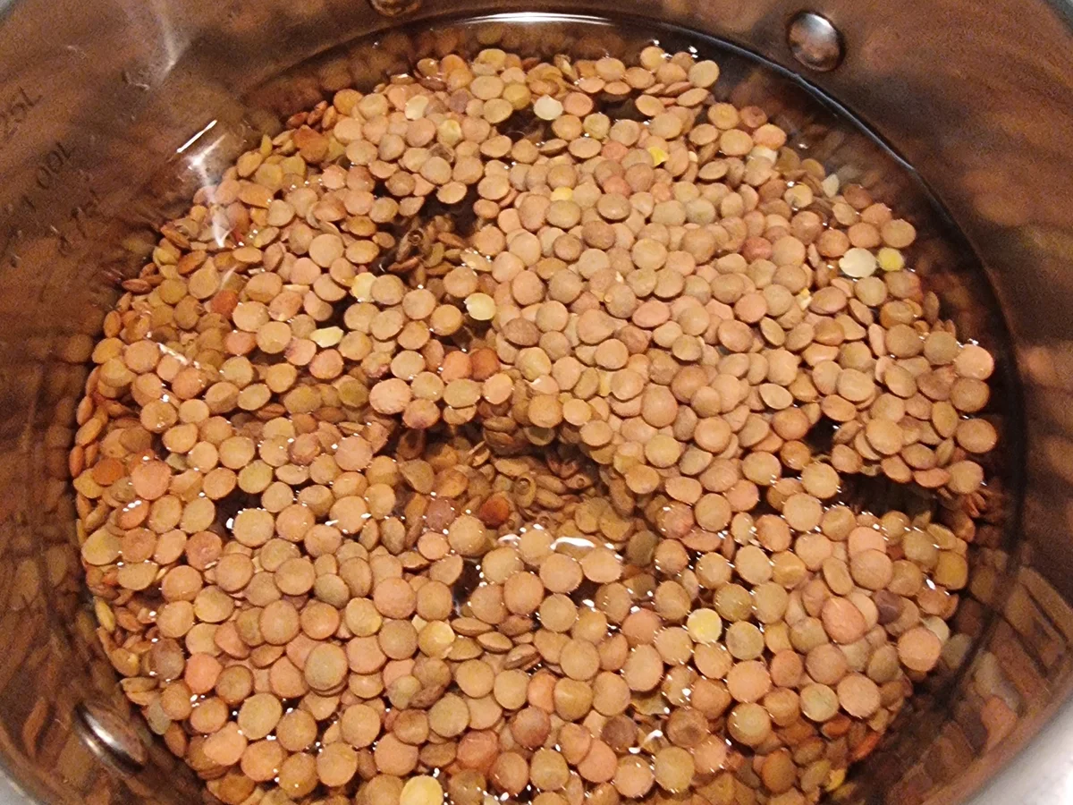 Rezept: Veganer Shepherd´s Pie mit Linsen Bild Nr. 17603 Veganer Shepherd´s Pie mit Linsen - Rezept - Bild Nr. 17603