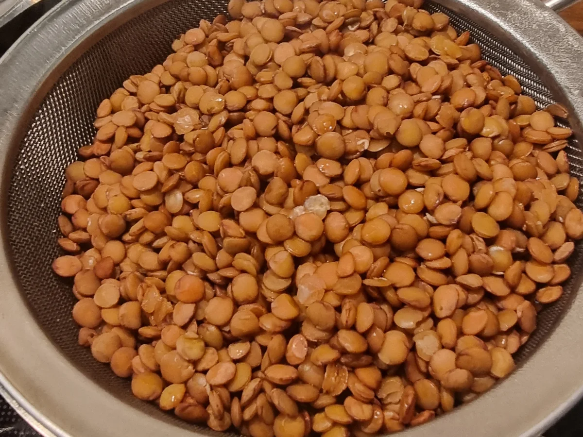 Rezept: Veganer Shepherd´s Pie mit Linsen Bild Nr. 17604 Veganer Shepherd´s Pie mit Linsen - Rezept - Bild Nr. 17604