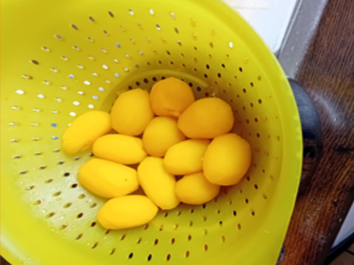 Rezept: Zanderfilet mit Kürbispüree, Drillingen und gerösteter Paprika Bild Nr. 17606 Zanderfilet mit Kürbispüree, Drillingen und gerösteter Paprika - Rezept - Bild Nr. 17606