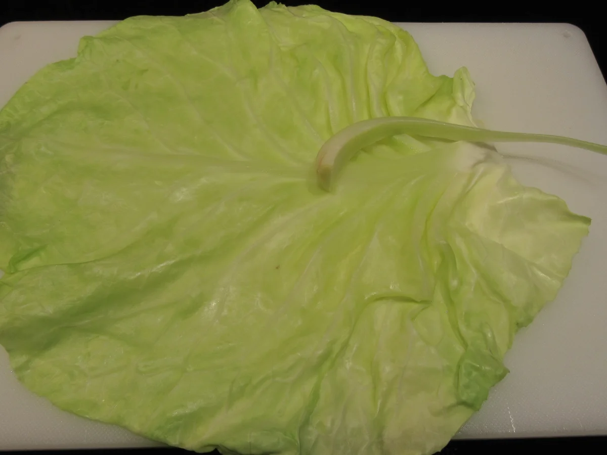 Geflügel: Hühnerfarce im Spitzkohl - Rezept - Bild Nr. 17599