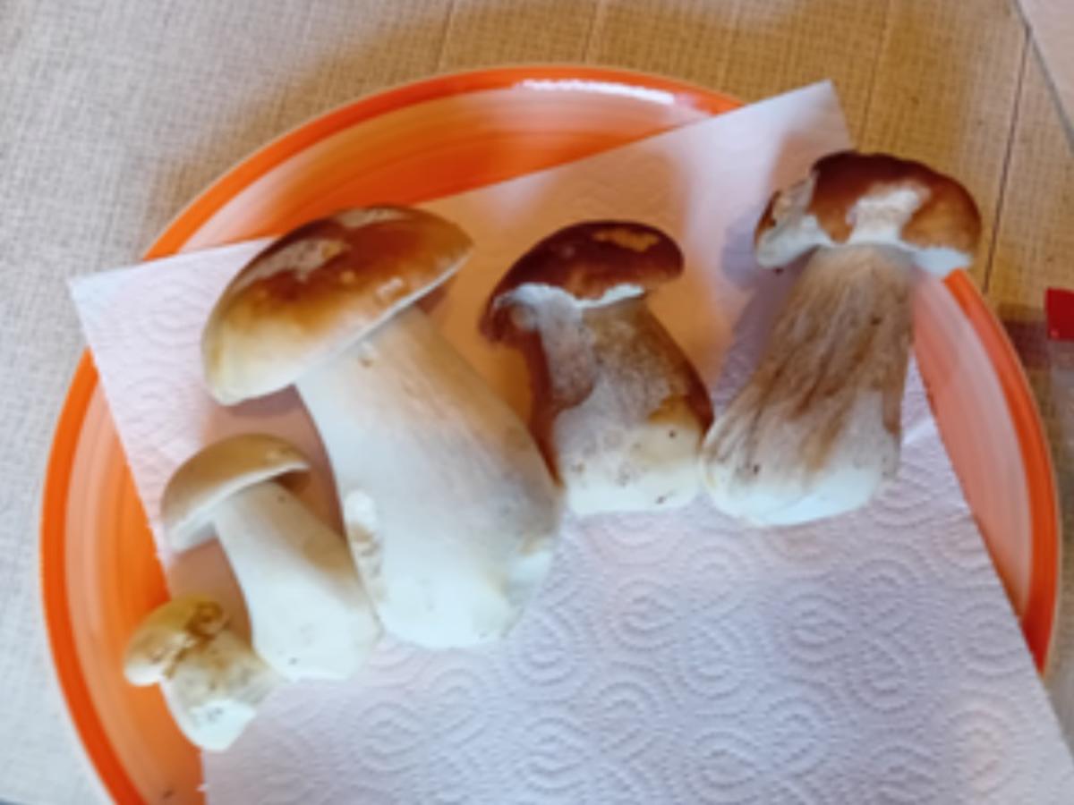 Spaghetti mit Steinpilz Rahm Sauce - schnell & einfach - von MausVoh Spaghetti mit Steinpilz Rahm Sauce - schnell & einfach - von MausVoh