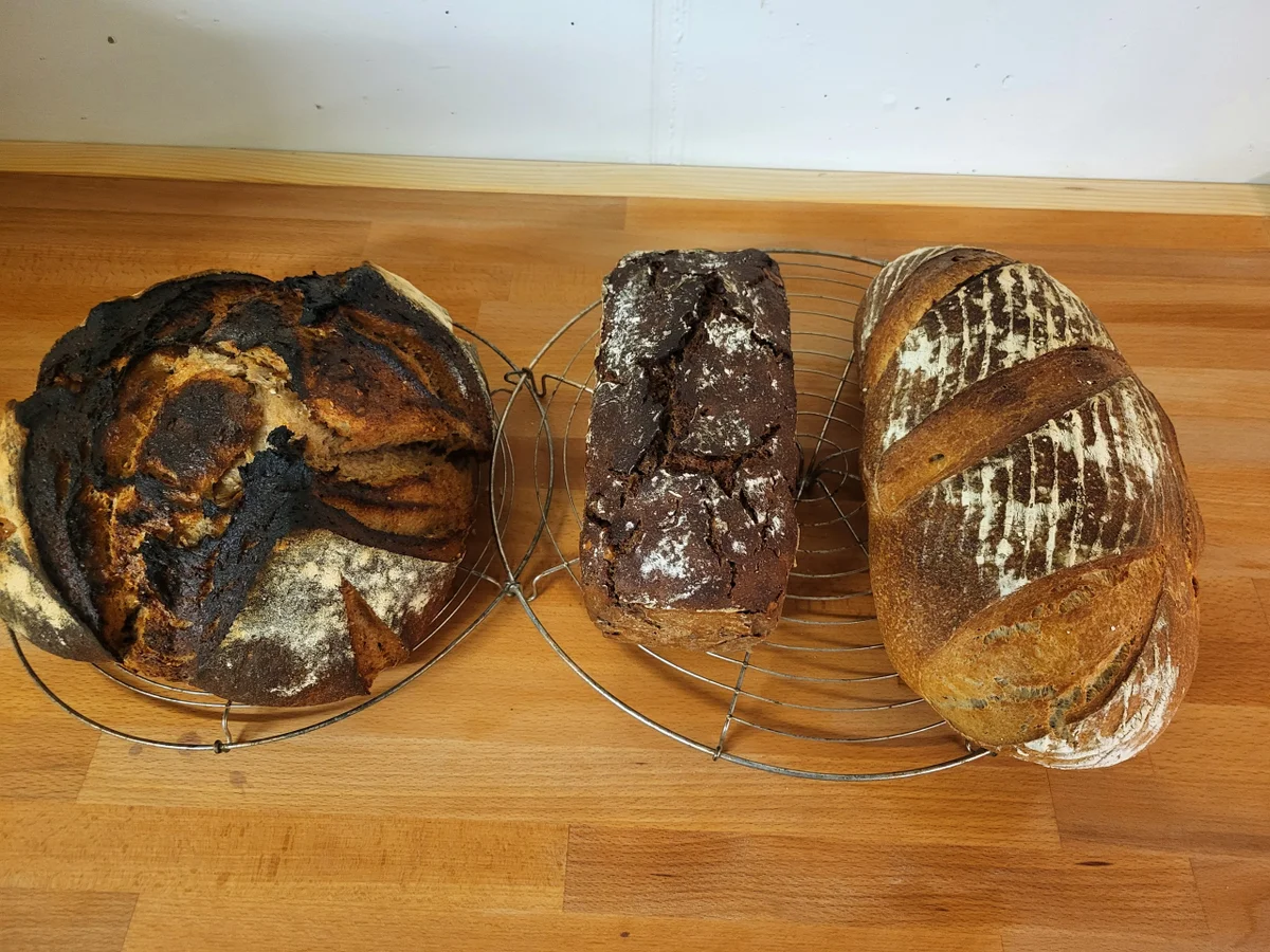 Schwarzbrot mit Walnuss - Rezept - Bild Nr. 17599