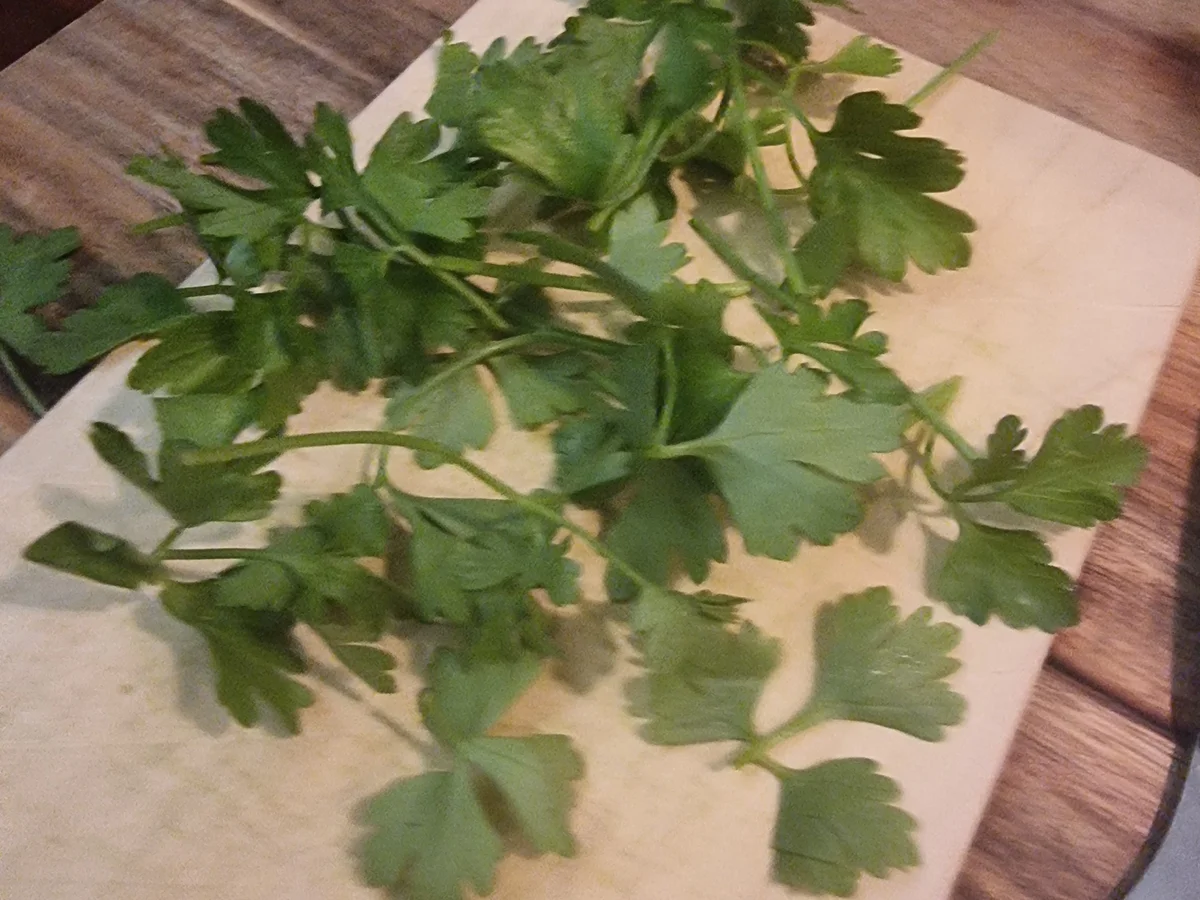 Rezept: Mini-Quiches Bild Nr. 17602 Mini-Quiches - Rezept - Bild Nr. 17602