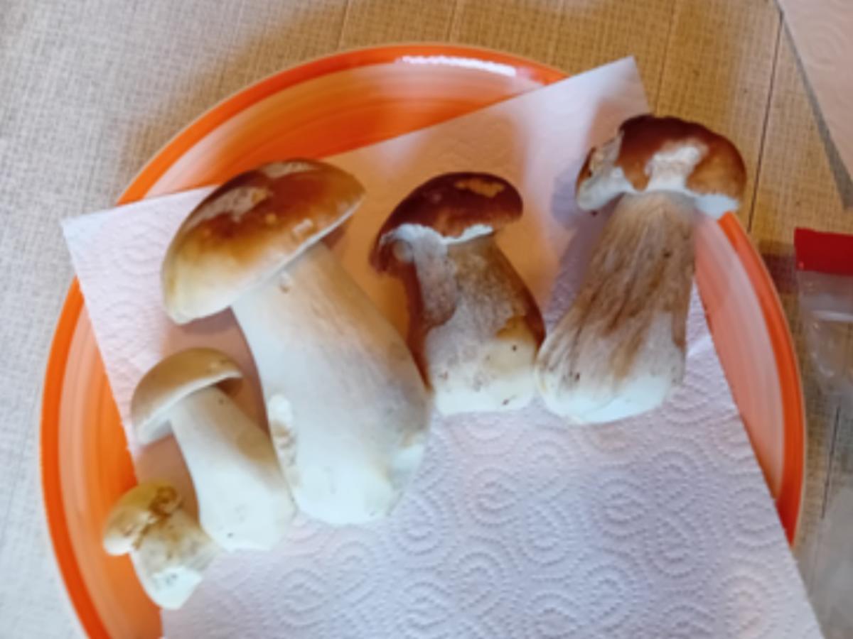 Rahmsteinpilzpfanne mit schwäbischen Bandnudeln - Rezept - Bild Nr. 17600