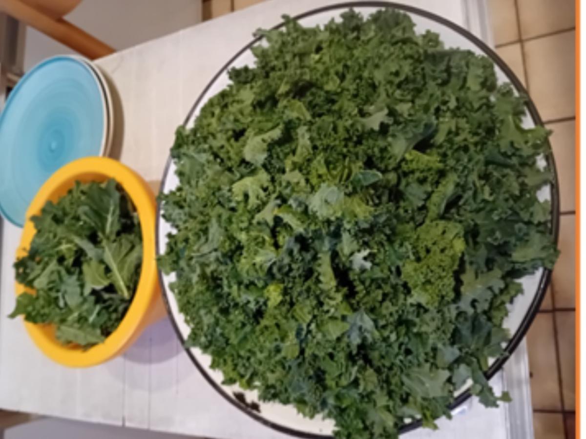 Rezept: Braunkohl-Gemüsezwiebel mit deftiger Fleisch-Wurst-Einlage und Drillingen Bild Nr. 6 Braunkohl-Gemüsezwiebel mit deftiger Fleisch-Wurst-Einlage und Drillingen - Rezept - Bild Nr. 6