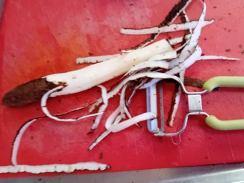 Schwarzwurzeln in Rahmsauce mit herzhaf-ten Buletten und Drillingen - Rezept - Bild Nr. 4