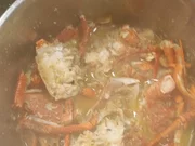 Krustentierfond - Rezept - Bild Nr. 17609