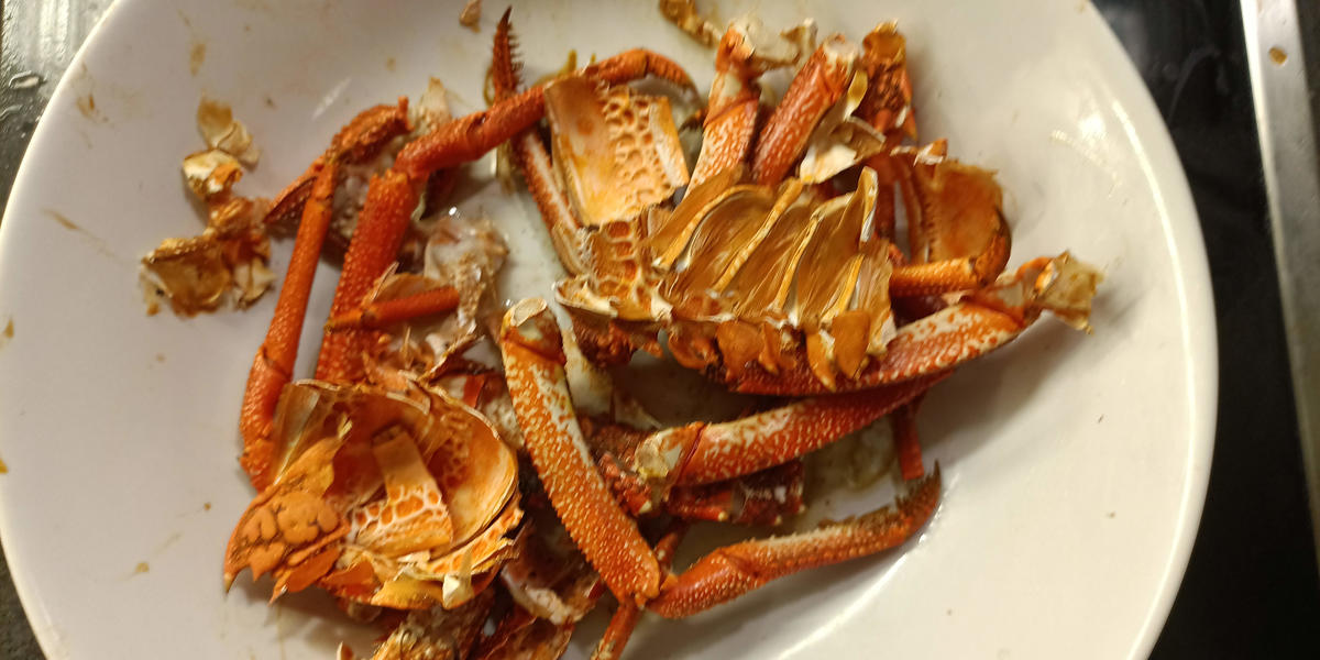 Krustentierfond - Rezept - Bild Nr. 17610