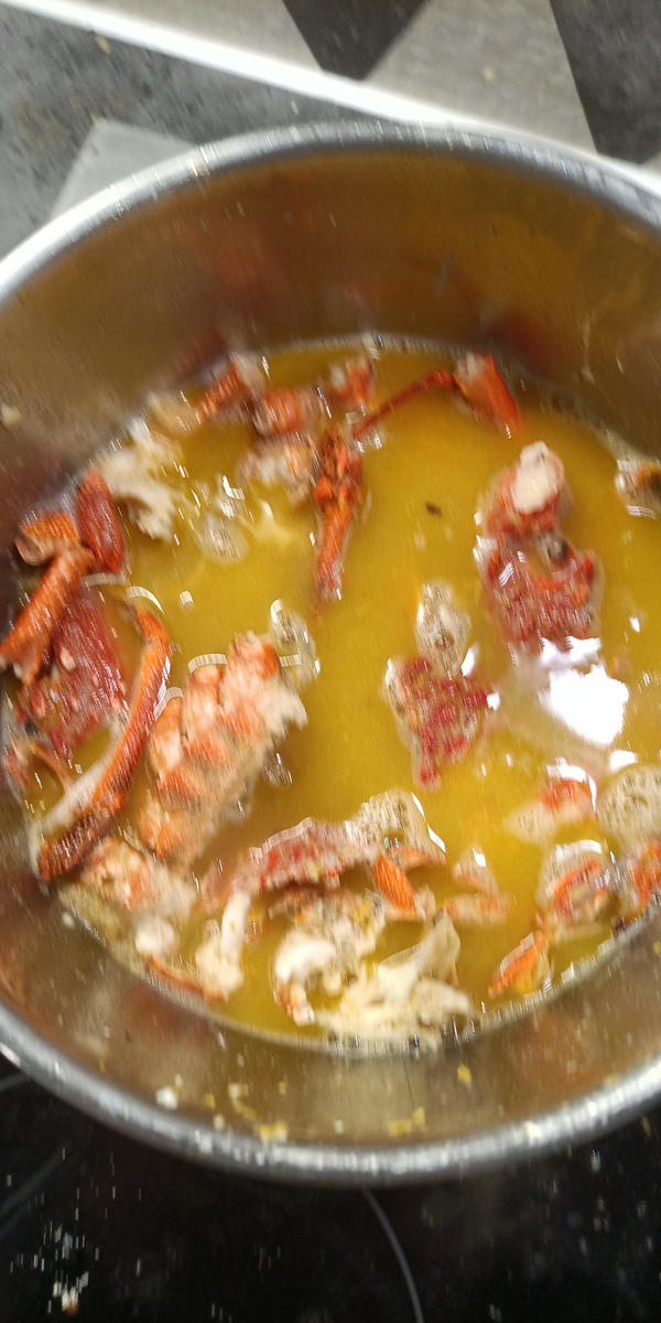 Krustentierfond - Rezept - Bild Nr. 17613